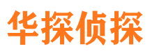 昌江市调查公司